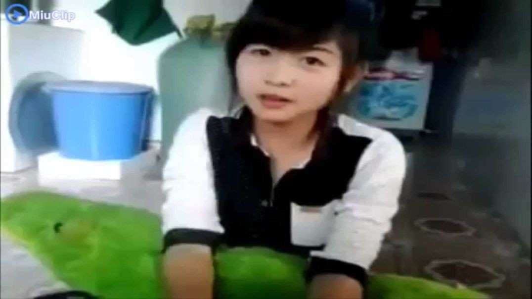 Girl xinh cute cover Ngây Ngô - Hoàng Yến Chibi