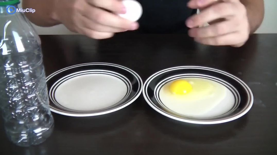 ⁣10 trò thú vị để nghịch với quả trứng