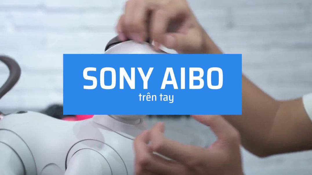 Trên tay chú chó Robot Aibo của Sony