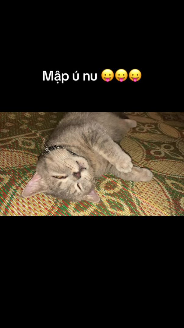 Mập ú nu 😛😛😛