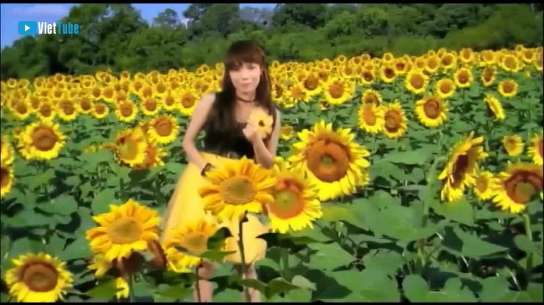 Đồi Hoa Mặt Trời - Huỳnh Nhã Lâm | Official Music Video